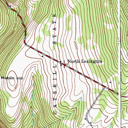 Topographic Map of North Lexington, NY
