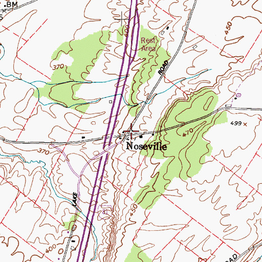Topographic Map of Noseville, NY