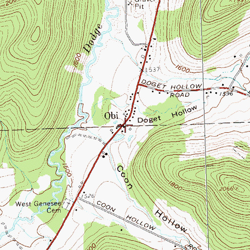 Topographic Map of Obi, NY