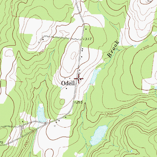 Topographic Map of Odell, NY