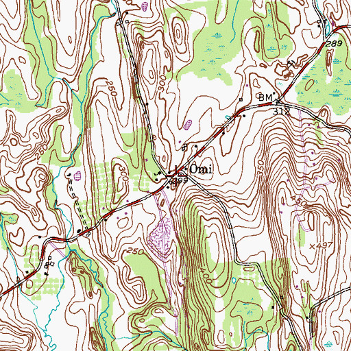 Topographic Map of Omi, NY