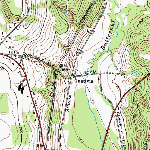 Topographic Map of Onativia, NY