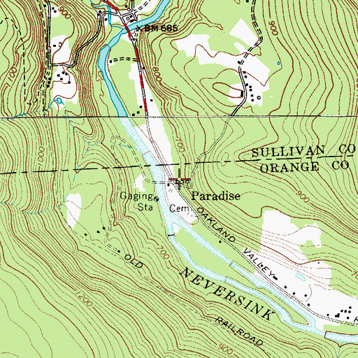 Topographic Map of Paradise, NY