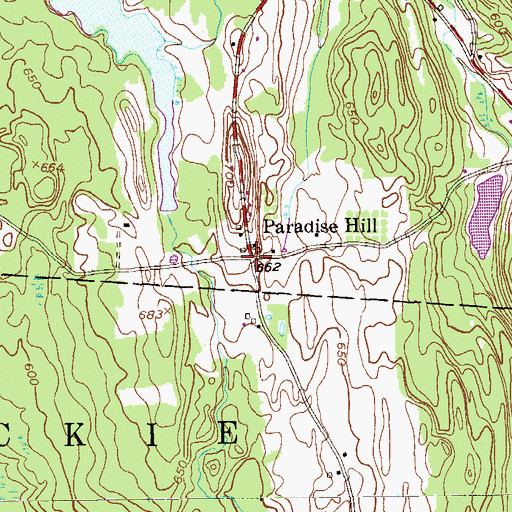 Topographic Map of Paradise Hill, NY