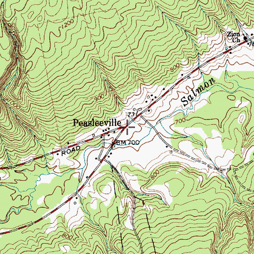 Topographic Map of Peasleeville, NY