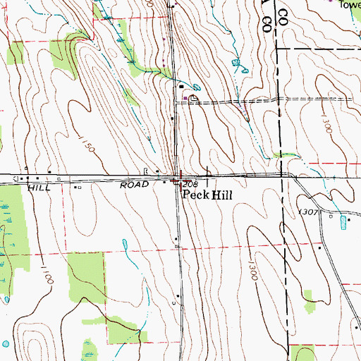 Topographic Map of Peck Hill, NY