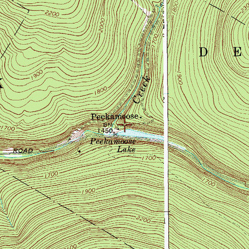 Topographic Map of Peekamoose, NY