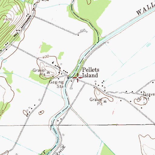 Topographic Map of Pellets Island, NY