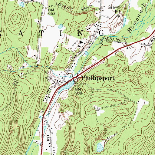 Topographic Map of Phillipsport, NY