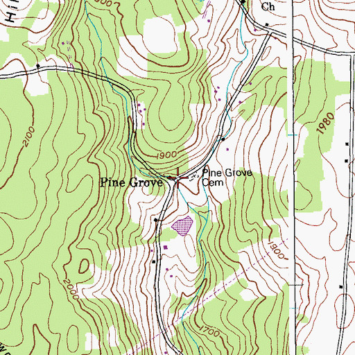 Topographic Map of Pine Grove, NY