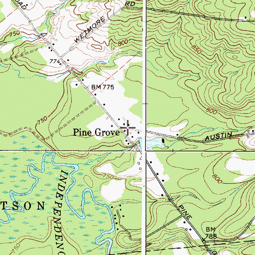 Topographic Map of Pine Grove, NY