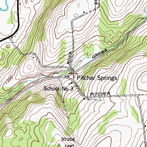Topographic Map of Pitcher Springs, NY