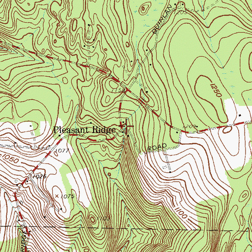 Topographic Map of Pleasant Ridge, NY