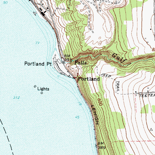 Topographic Map of Portland, NY