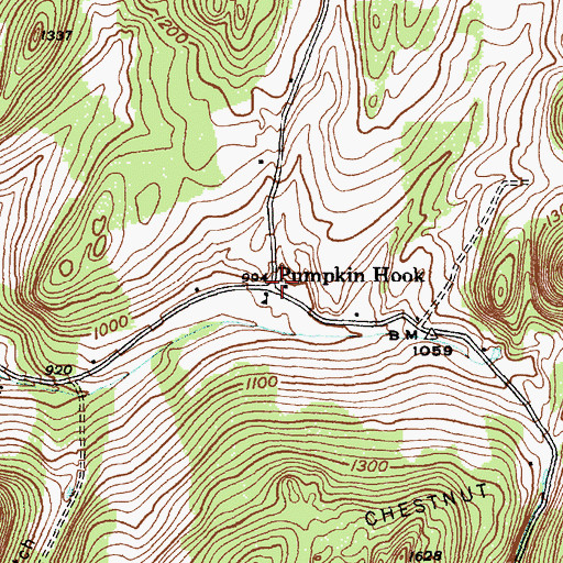 Topographic Map of Pumpkin Hook, NY