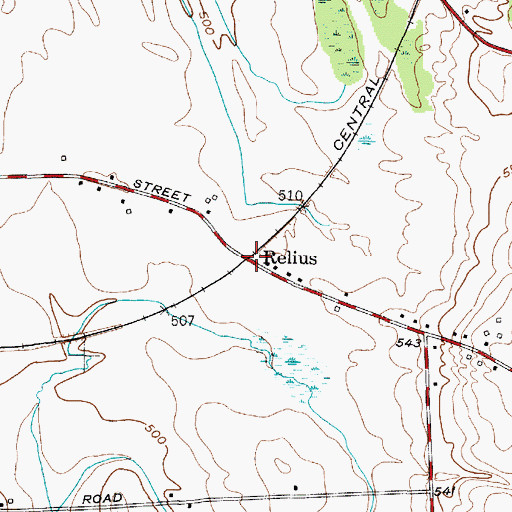 Topographic Map of Relius, NY