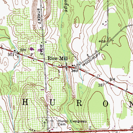 Topographic Map of Rice Mill, NY