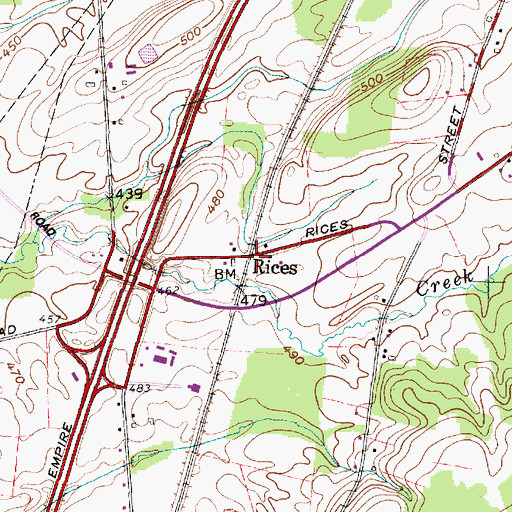 Topographic Map of Rices, NY
