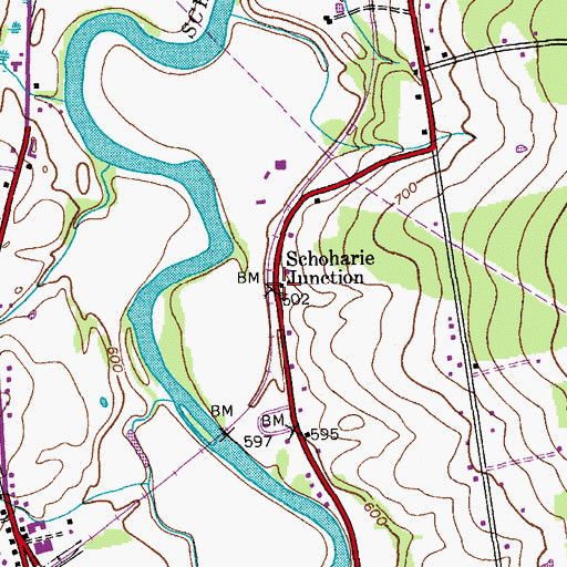 Topographic Map of Schoharie Junction, NY
