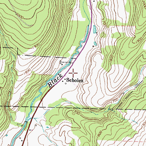 Topographic Map of Scholes, NY