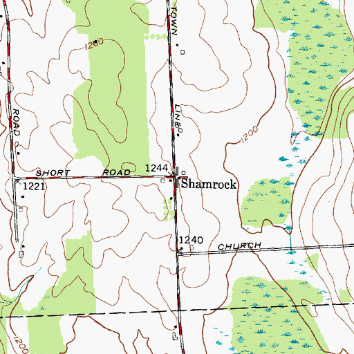 Topographic Map of Shamrock, NY