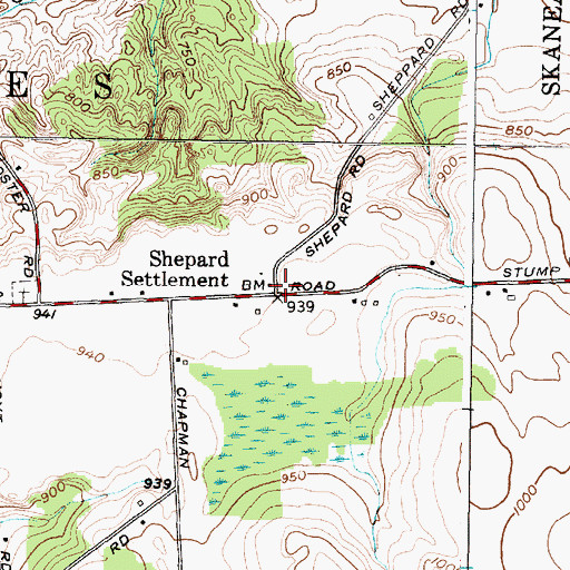 Topographic Map of Shepard Settlement, NY