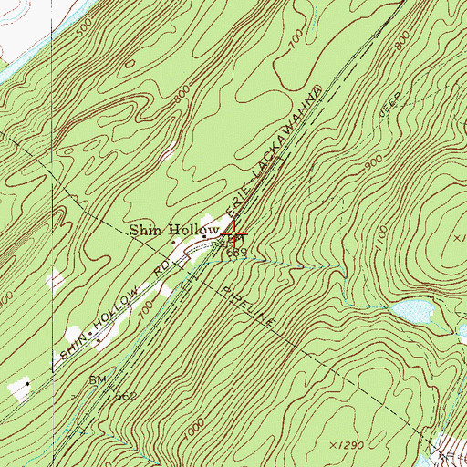 Topographic Map of Shin Hollow, NY