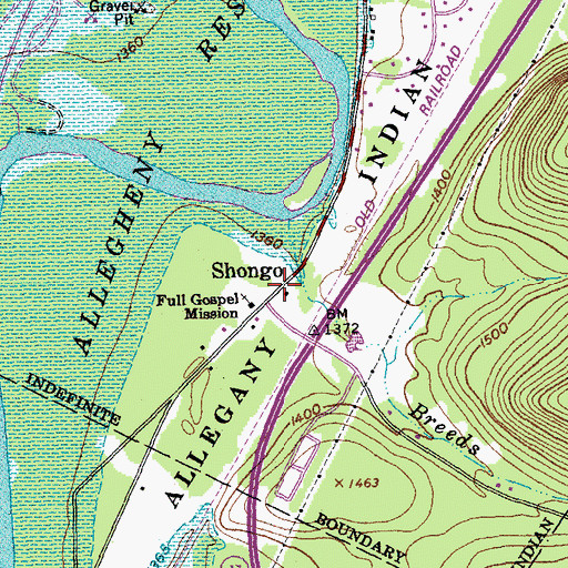 Topographic Map of Shongo, NY
