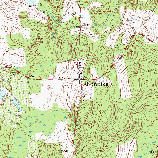 Topographic Map of Shunpike, NY