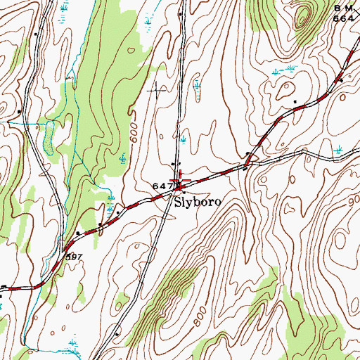 Topographic Map of Slyboro, NY
