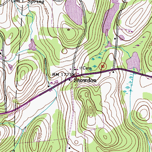 Topographic Map of Snowdon, NY