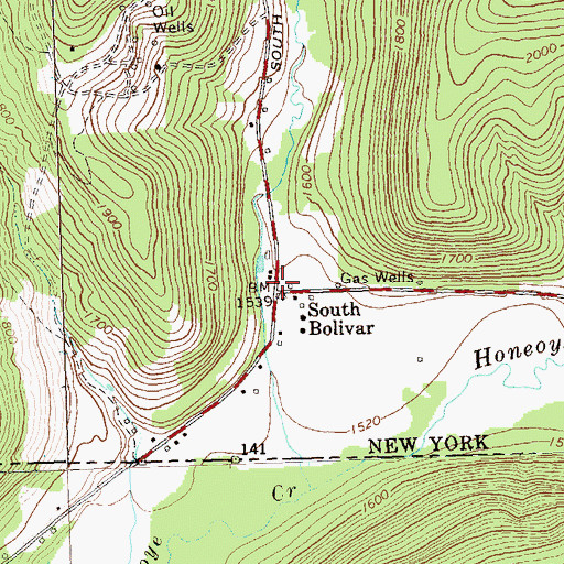 Topographic Map of South Bolivar, NY