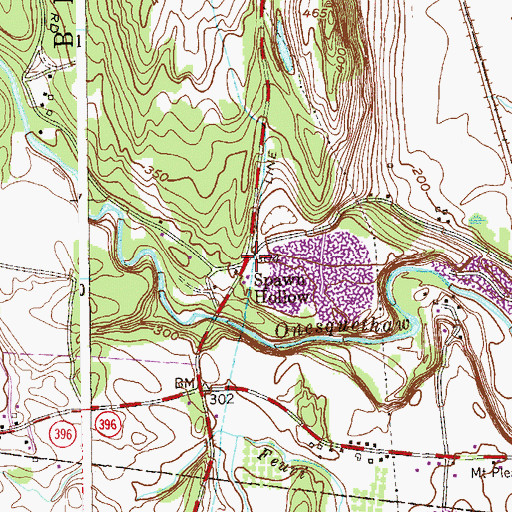 Topographic Map of Spawn Hollow, NY