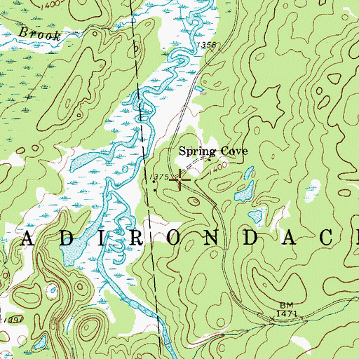 Topographic Map of Spring Cove, NY