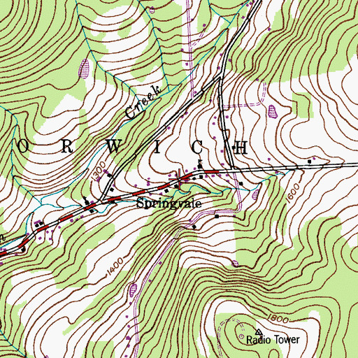 Topographic Map of Springvale, NY