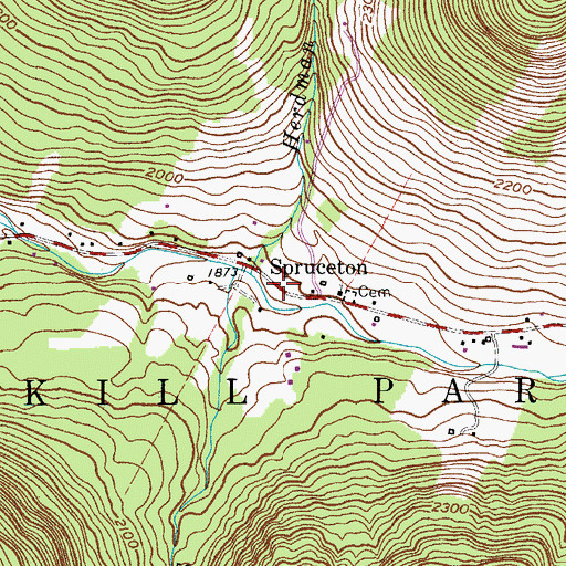 Topographic Map of Spruceton, NY