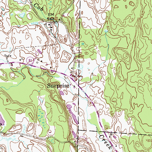 Topographic Map of Surprise, NY