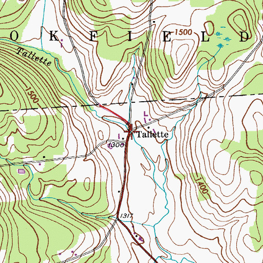Topographic Map of Tallette, NY