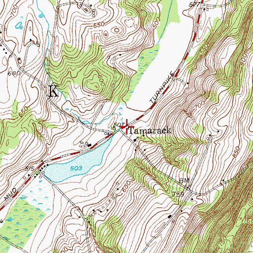 Topographic Map of Tamarack, NY