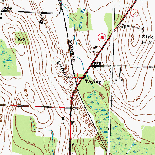 Topographic Map of Taylor, NY