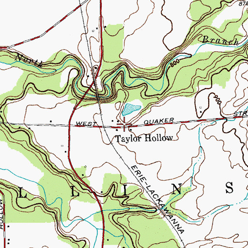 Topographic Map of Taylor Hollow, NY