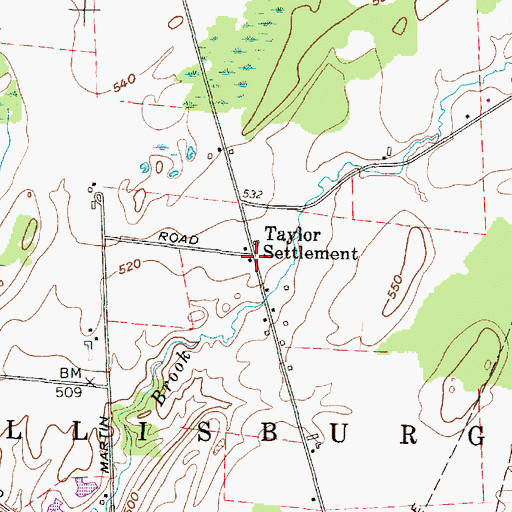 Topographic Map of Taylor Settlement, NY