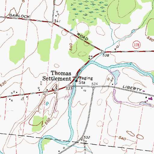 Topographic Map of Thomas Settlement, NY