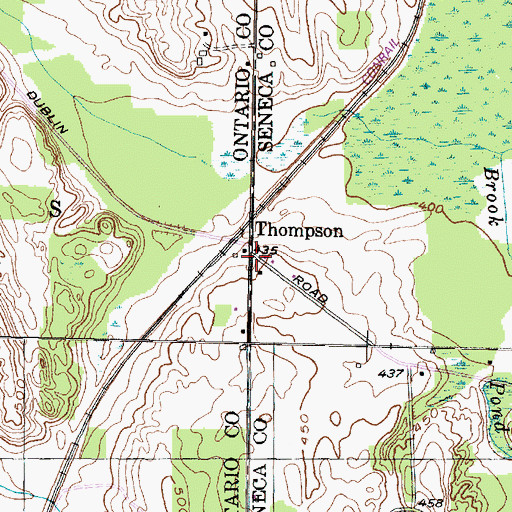 Topographic Map of Thompson, NY