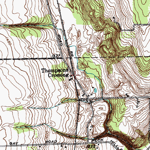 Topographic Map of Thompsons Crossing, NY
