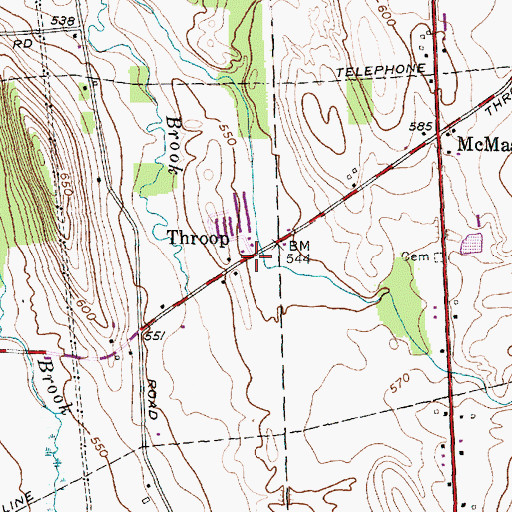 Topographic Map of Throop, NY