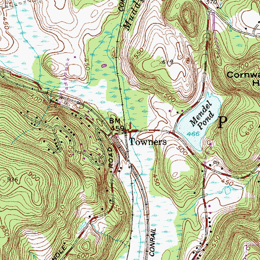 Topographic Map of Towners, NY