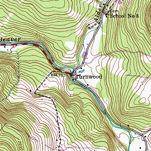 Topographic Map of Turnwood, NY