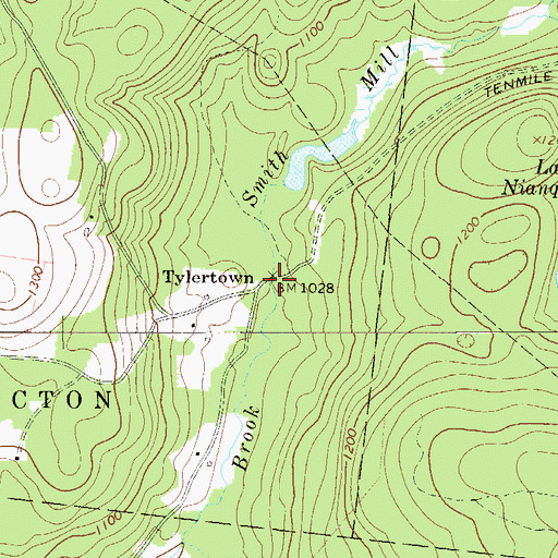 Topographic Map of Tylertown, NY