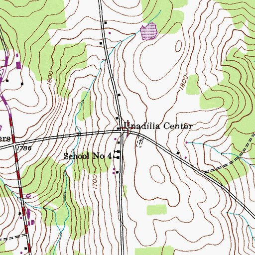 Topographic Map of Unadilla Center, NY